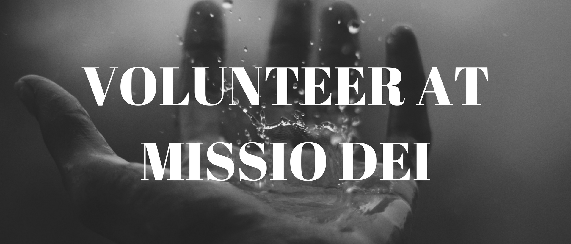 Volunteering at missio Dei: Falcon